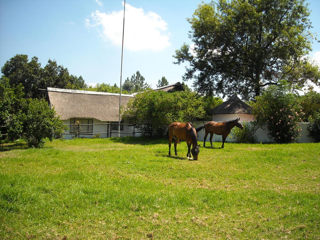 松树小屋假日公园 米德兰 外观 照片
