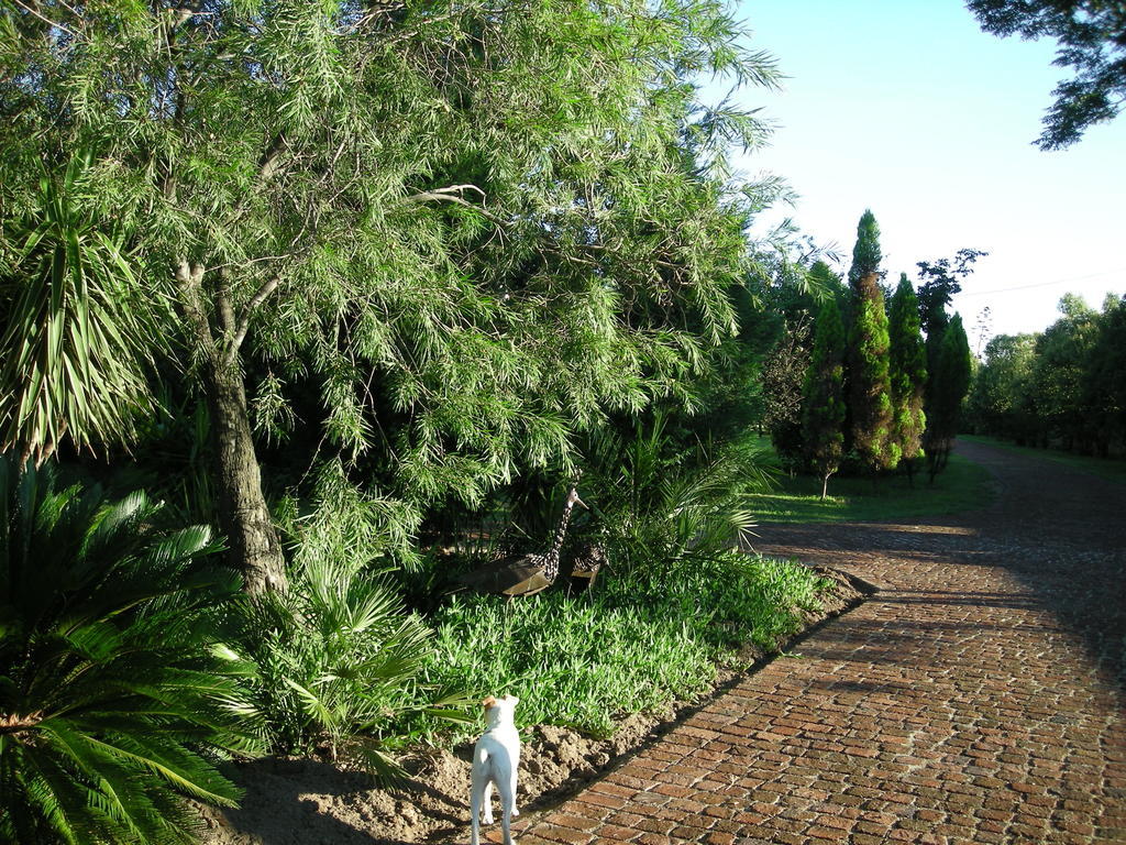 松树小屋假日公园 米德兰 外观 照片